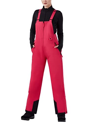 Womens Insulated Waterproof Snow Bibs